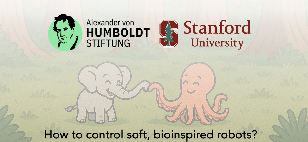 Humboldt Fellowship