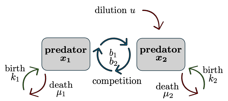 Predator-Prey Dynamics