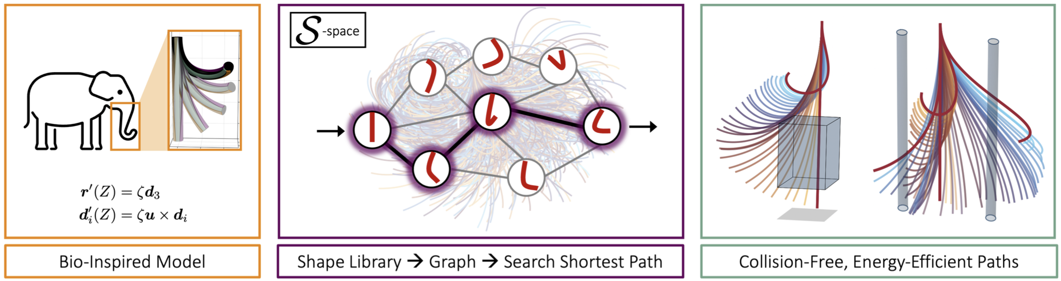 Shape-Space Graphs