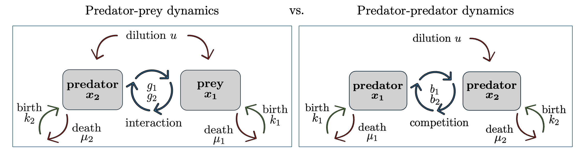 Population Dynamics