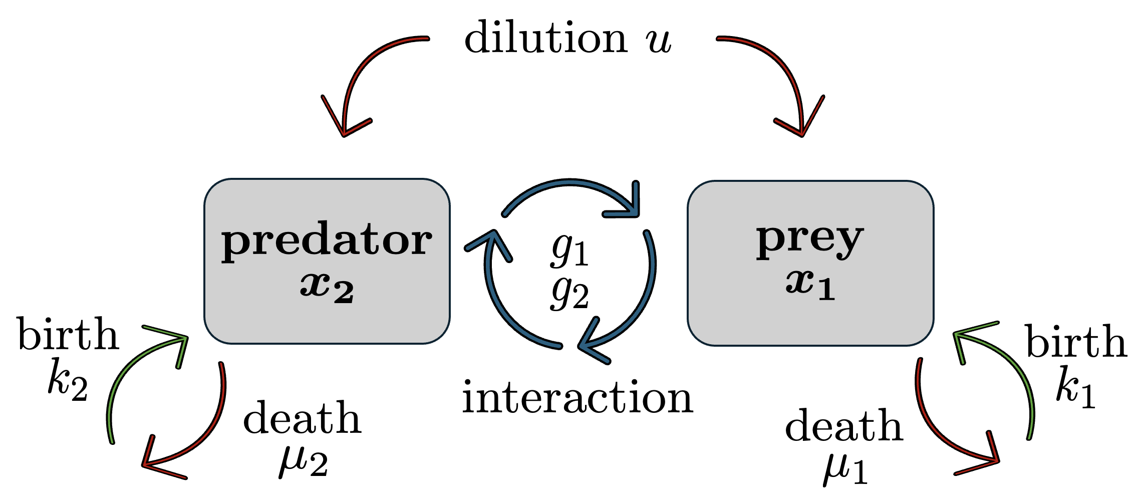 Predator-Prey Dynamics